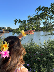 FLOWER FIELDS CLIP